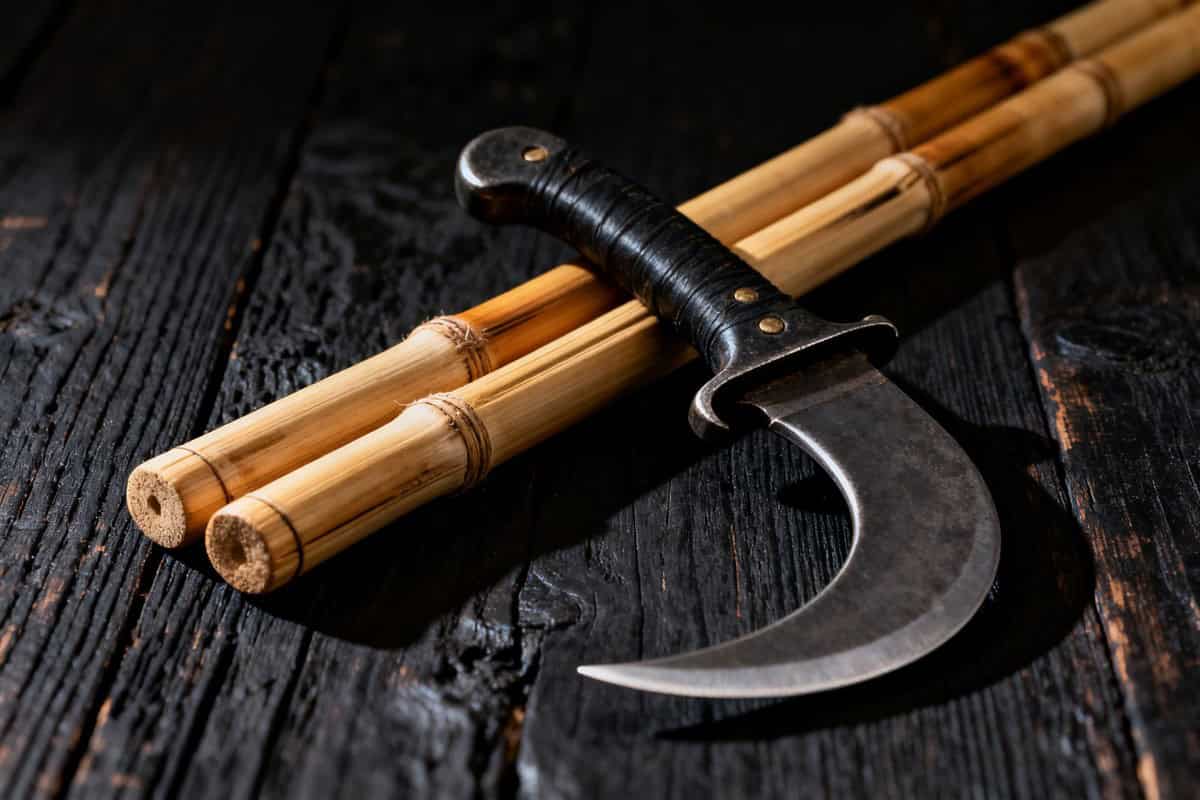 Bâtons d'eskrima en rotin et couteau karambit recourbé posés sur un bois sombre
